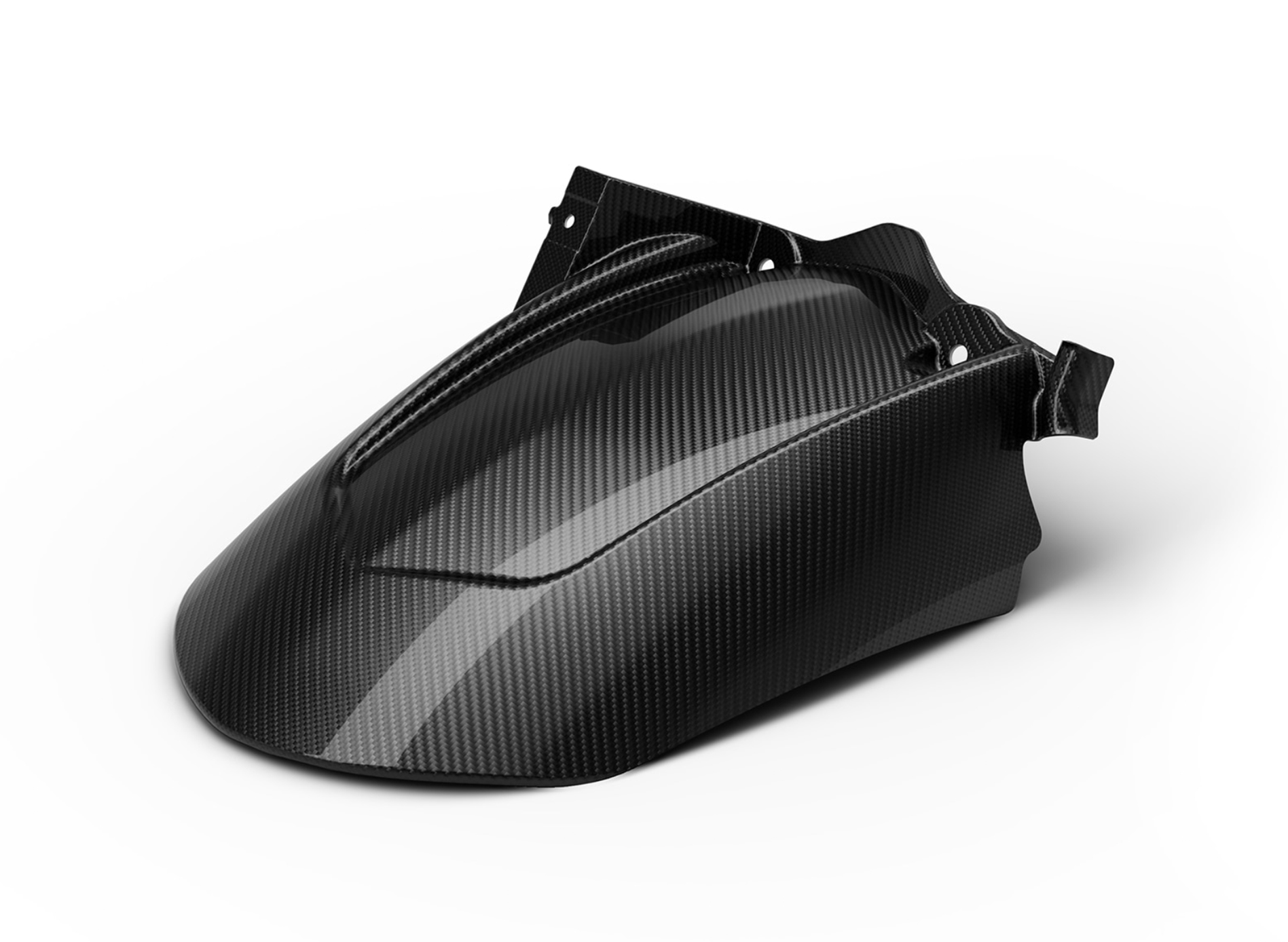 Cubre rueda trasero carbono Aprilia RSV4 / Tuono V4 1100 (25-)