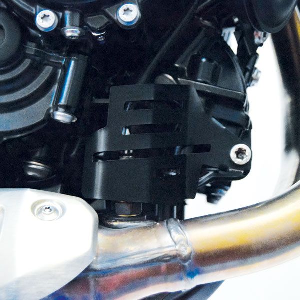 Tapa de la sonda Lambda para BMW F 850 GS (18-22), acero inoxidable, negro