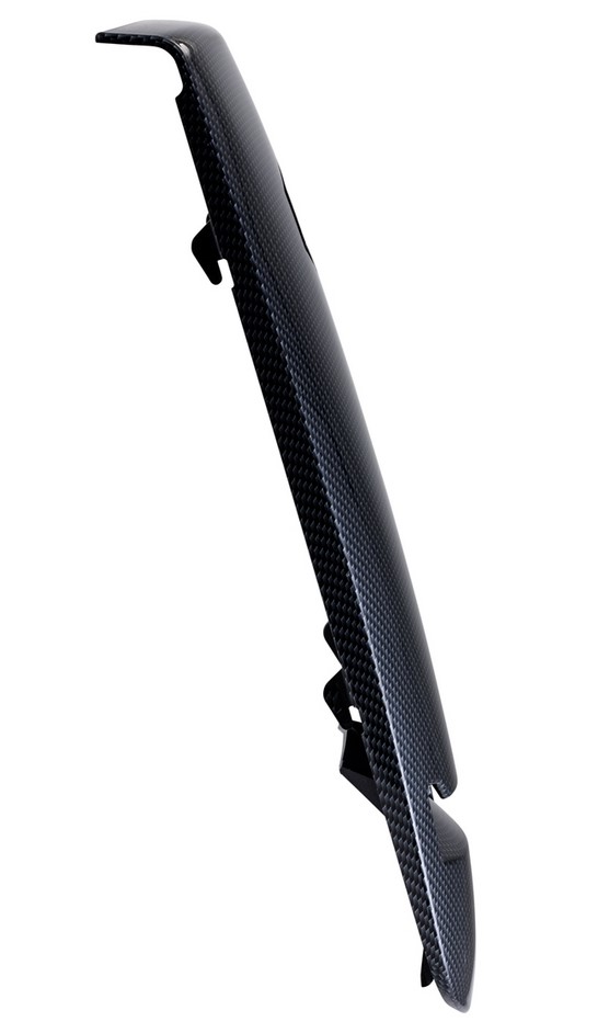 Cascada para Vespa GTS/GTS Super/GTV/GT 60/GT/GT L 125-300cc (-'18), aspecto de carbono