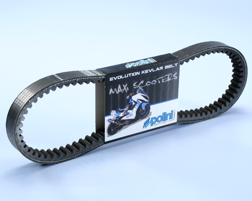 Correa trapezoidal Polini, correa de kevlar, 21x13,5x822 28°