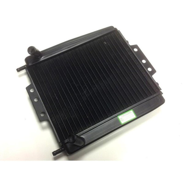 Enfriador de agua BIHR - Piaggio MP3 125 - 500