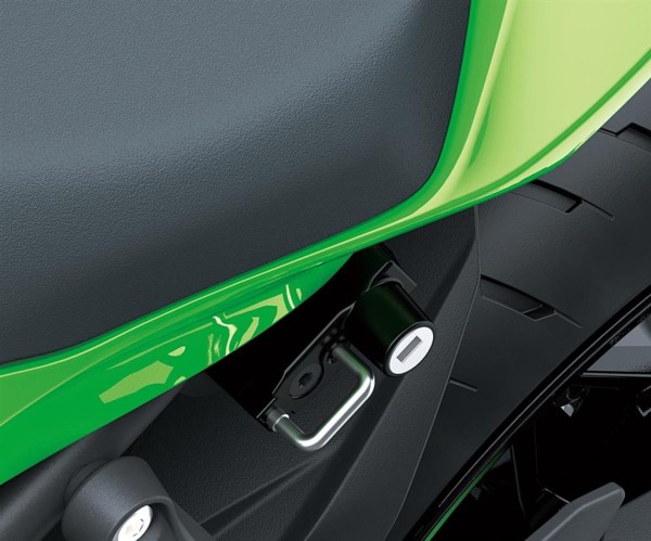 Antirrobo de casco para Kawasaki Ninja ZX-4RR (24-) Original