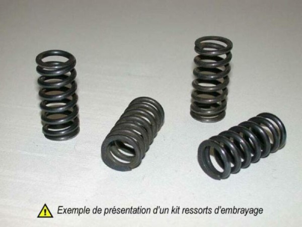 Kit de muelles de embrague Barnett
