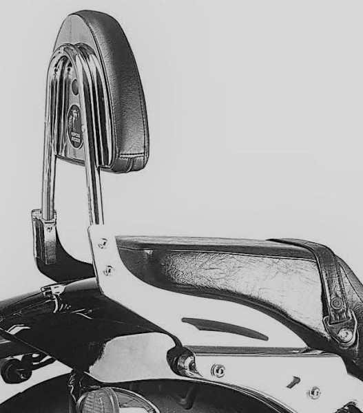 Sissybar sin portaequipajes cromado para Honda VT 750 DC Black Widow (00-03) Hepco & Becker