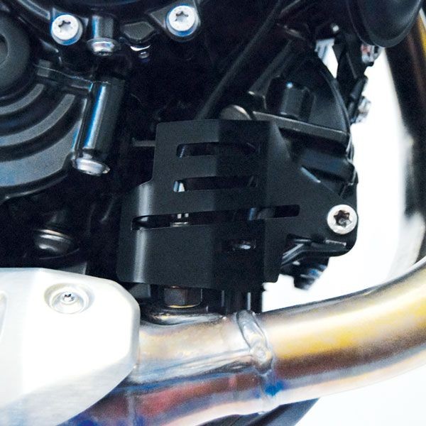 Tapa de la sonda Lambda para BMW F 850 GS (18-22), acero inoxidable, negro