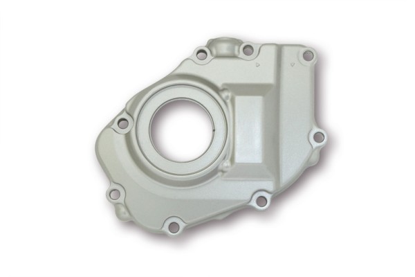 Tapa de encendido MOTOPROFESSIONAL, plata, Honda CB 600 F Hornet 05-06
