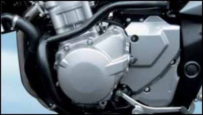 Protector de motor para Suzuki GSF650 BJ. 2007-2008