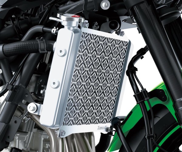 Protector de radiador para Kawasaki Ninja ZX-4RR (24-) Original