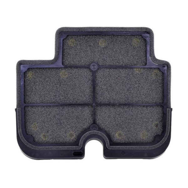 Filtro de aire Tecnium - 110290011