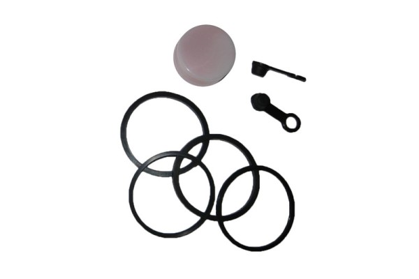 Kit reparación pinza freno trasero Tecnium Yamaha FZR600