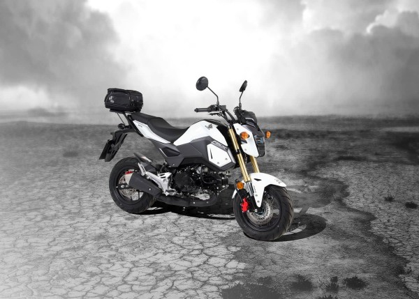 Portaequipajes trasero blando Minirack negro para Honda MSX 125 /Grom (17-20) Hepco & Becker