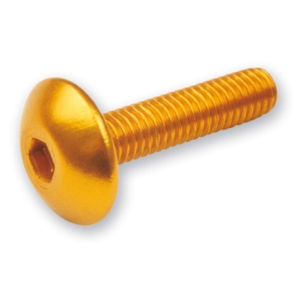 V PIEZAS tornillo allen M6x20 Oro